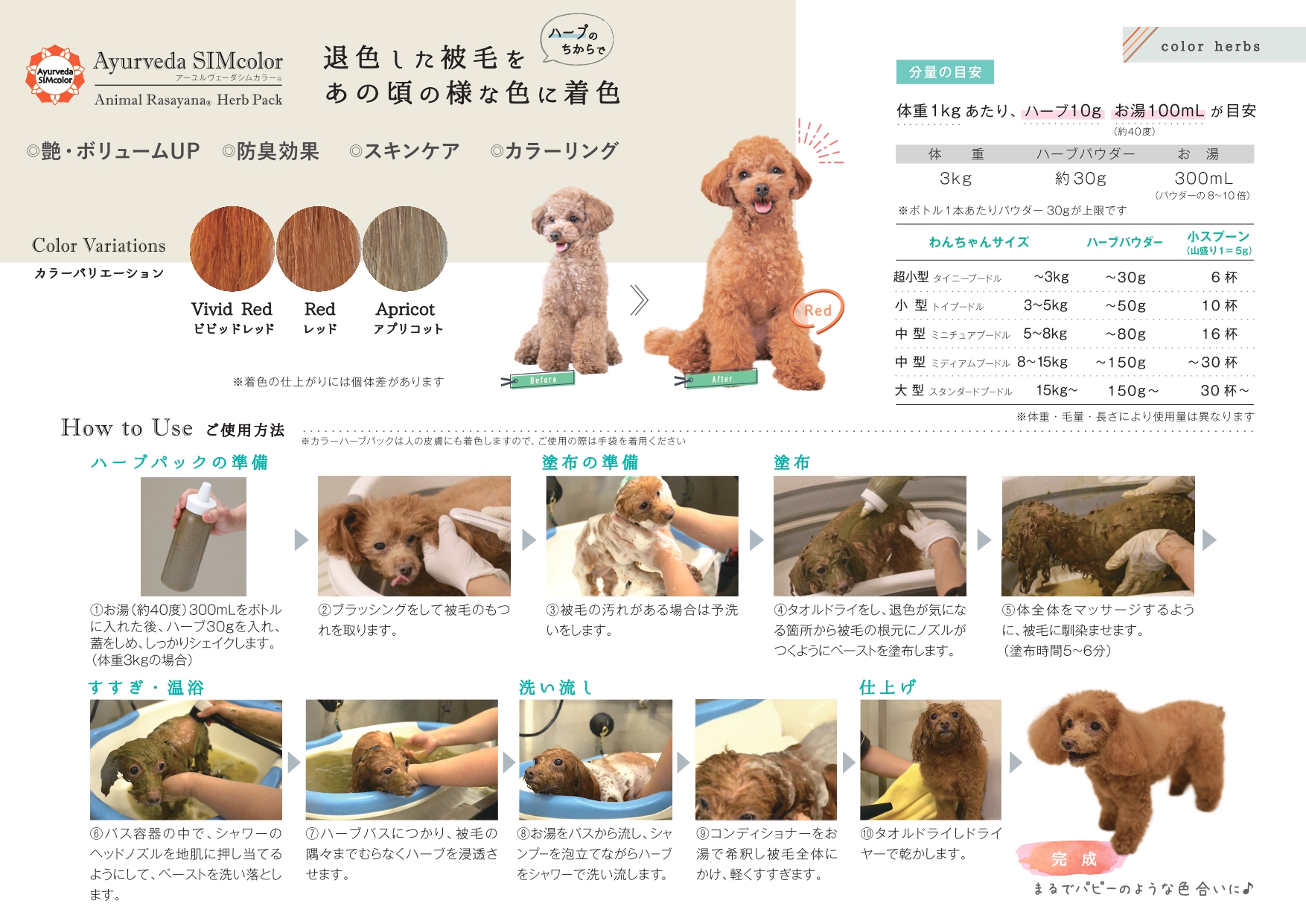 カラーリフレット 裏