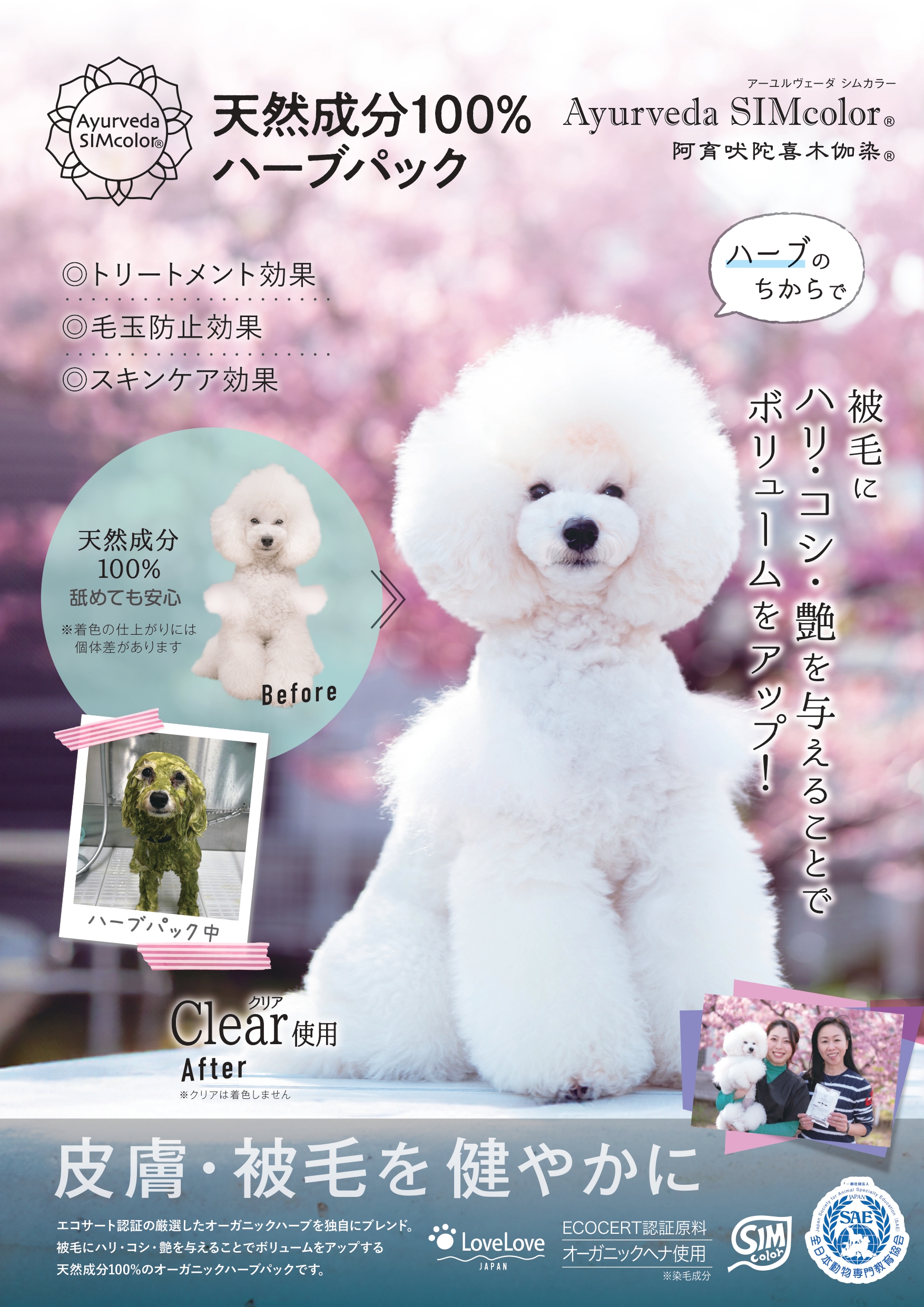 ポスタークリア 1