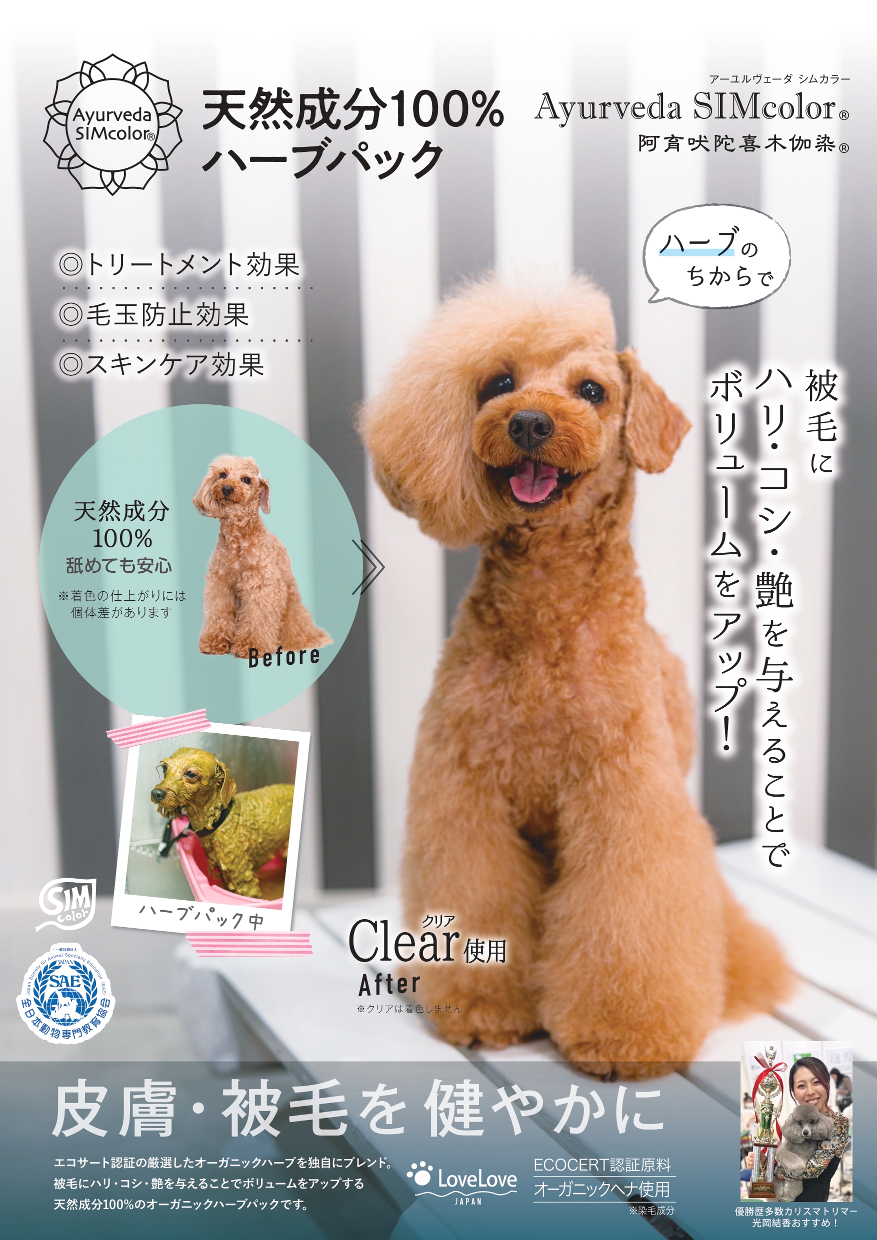 ポスタークリア 2