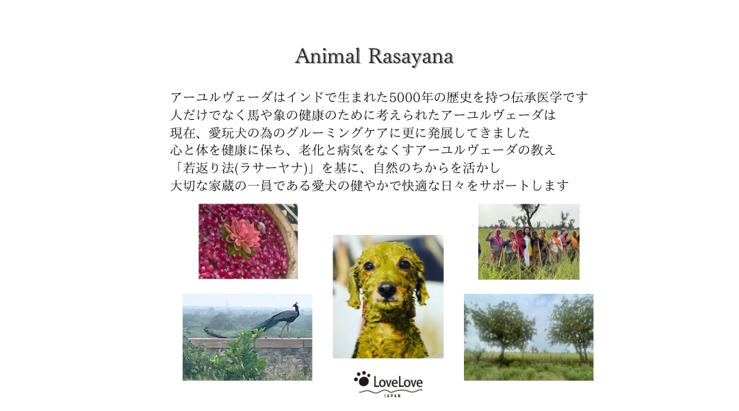 アニマルラサーヤナの歴史イメージ