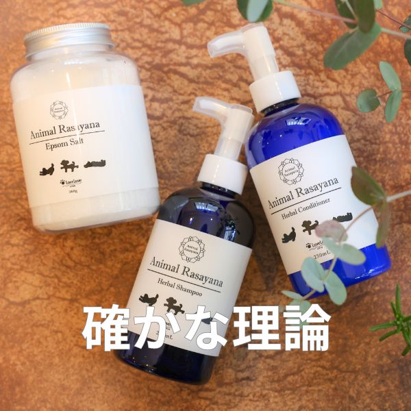 アーユルヴェーダ